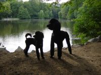 Evi + Hanka